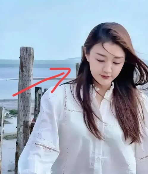 天啊，真是不查不知道  
一查吓一跳  
我算是知道陈梦为什么不打世乒赛了  