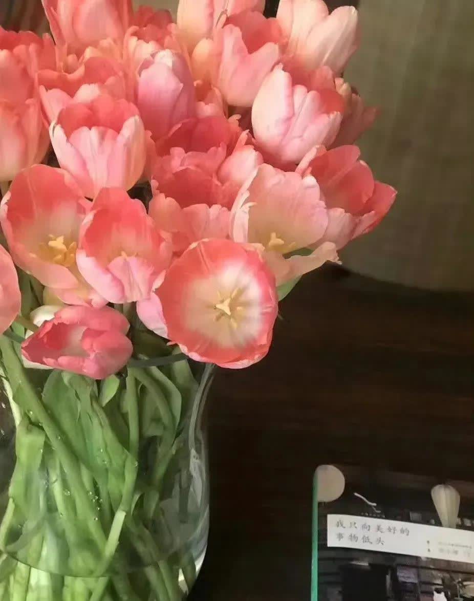 你们是从什么时候开始不再晒孩子的。
我是孩子上了初二，她班主任也没点名说的一段