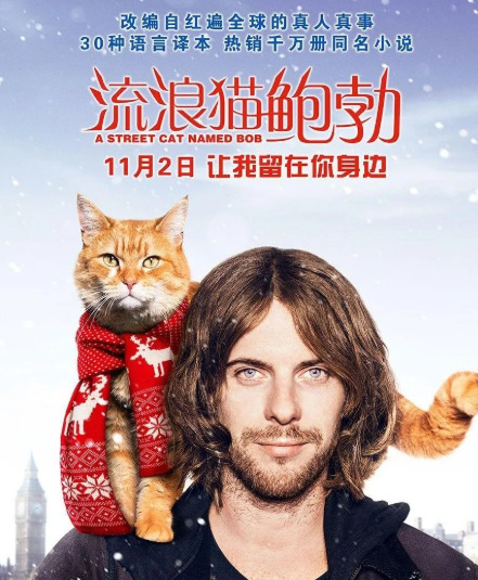 流浪汉与猫的感人故事











一个流浪汉在伦敦街头快要饿晕了，想吃