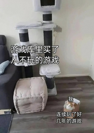 连续玩了好几年的游戏