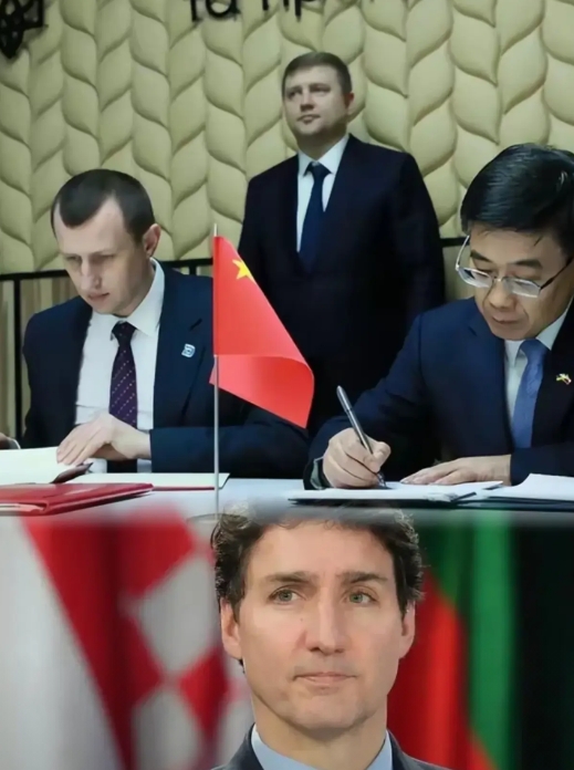 这就是中国态度！加拿大豌豆关税100%，乌克兰开放豌豆进口，你把中国当朋友，中国
