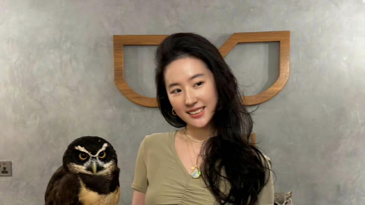 刘亦菲阿联酋素颜照流出！与猫头鹰合照美得很安心