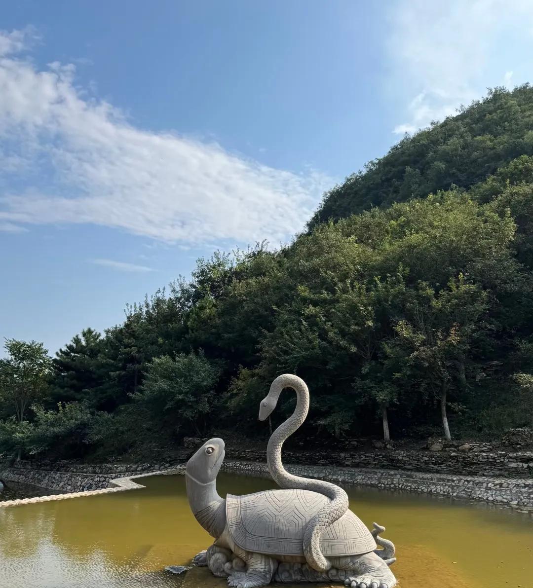 有人知道这是什么吗？
家人们，这个雕塑是什么意思啊？一只乌龟上面缠着一条蛇#这到