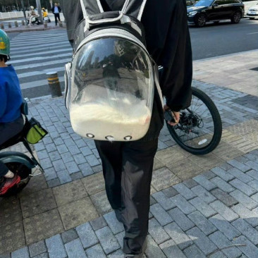 哥们儿，你的猫好像化了
