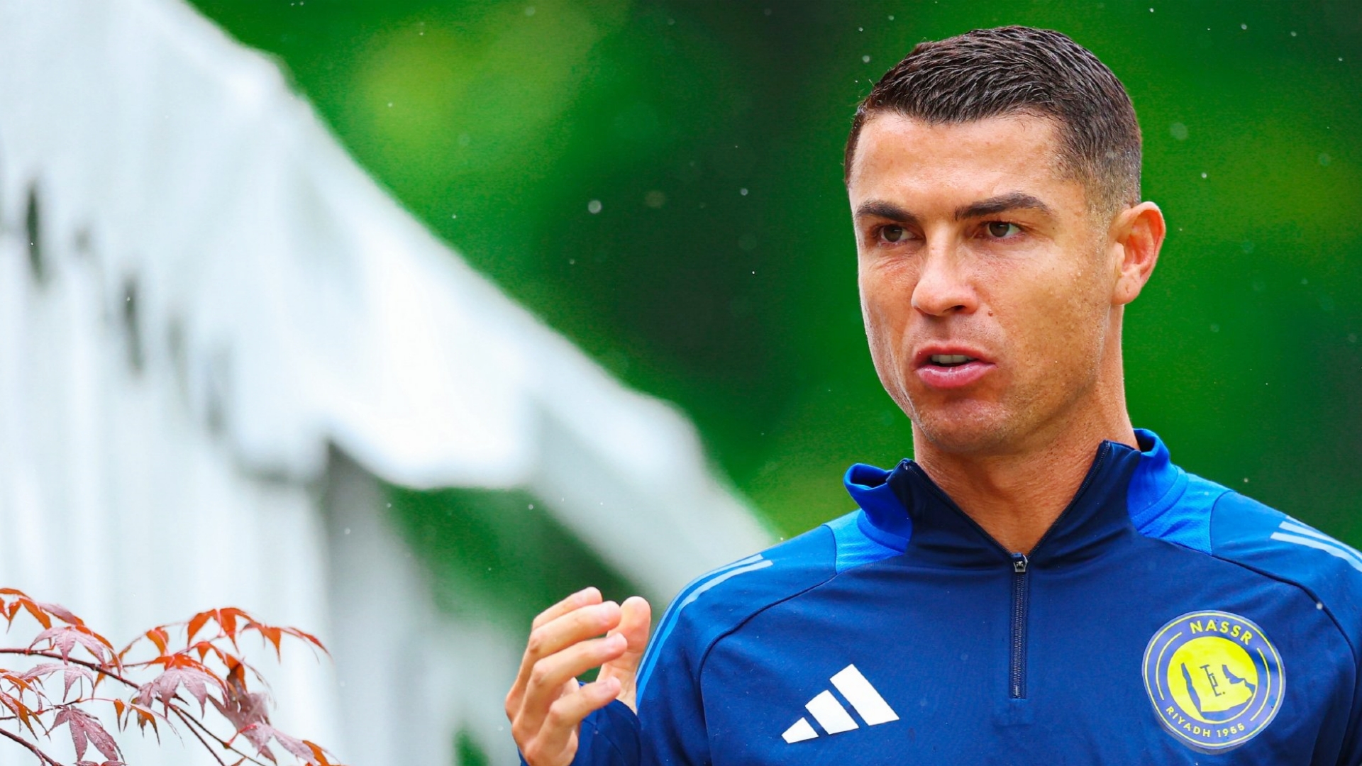 记者报道，C罗现在拥有利雅得胜利20%股权。
未来一段时间企业俱乐部的推出只是时