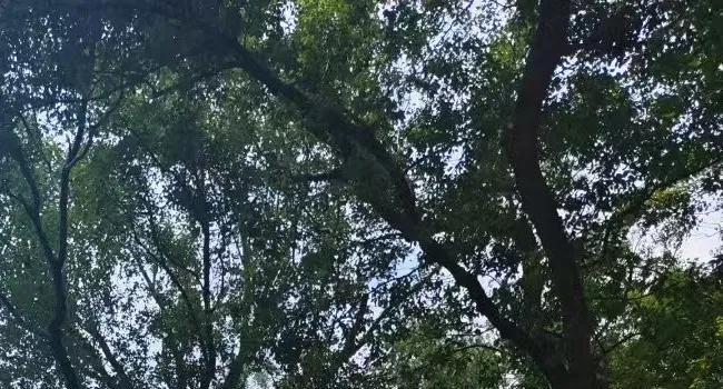 今天听一个有自己固定收入的30岁的女人娓娓道来不结婚的好处：
1.可以不听任何人