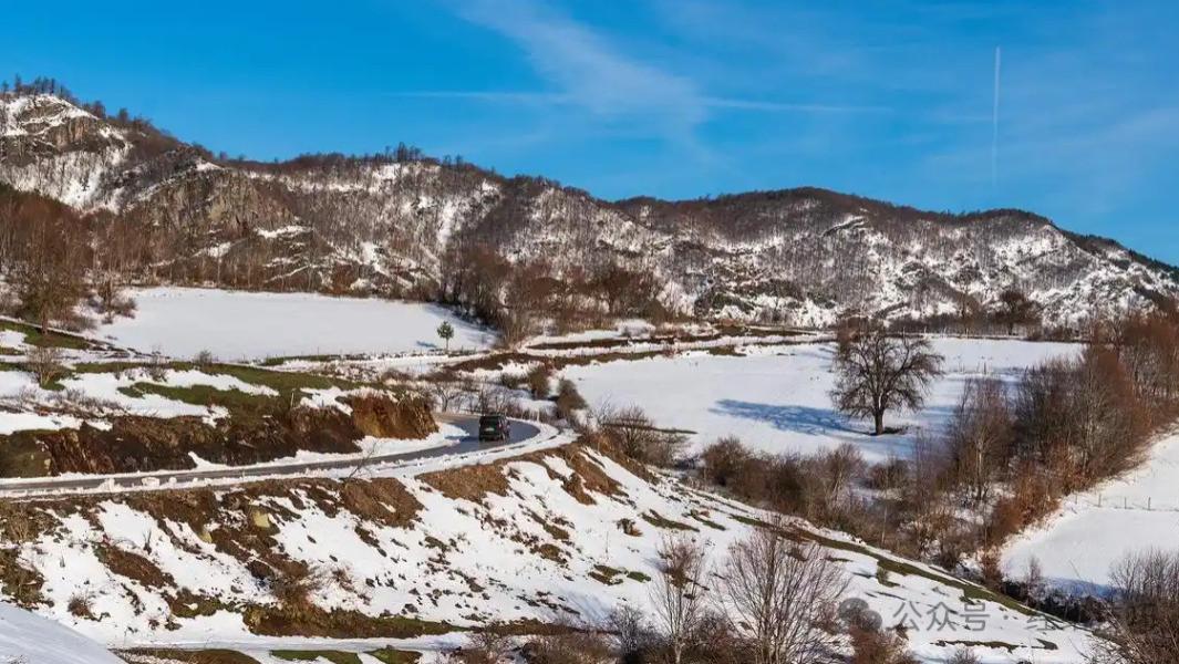 今年三九挺暖和，煮一碗“三合汤”，补得进、通得顺、润得柔，老人孩子都爱喝