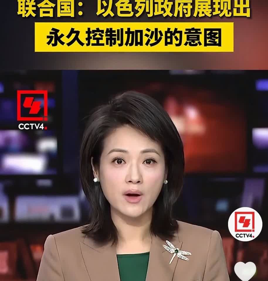 如果小以成功吞并加沙，魔盒就会被打开！
蓝星就会回到丛林时代，联合国代表的次序