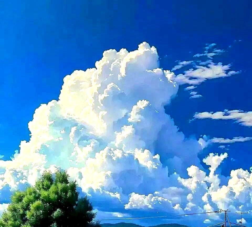张雪峰说：
