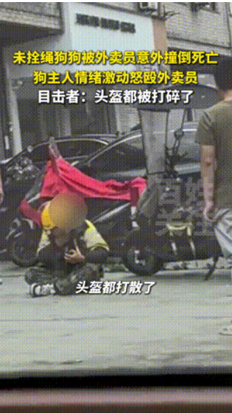 人命还没狗命贵！浙江，外卖员不慎撞死未栓绳的狗，不料狗主人暴怒，上来暴打外卖小哥