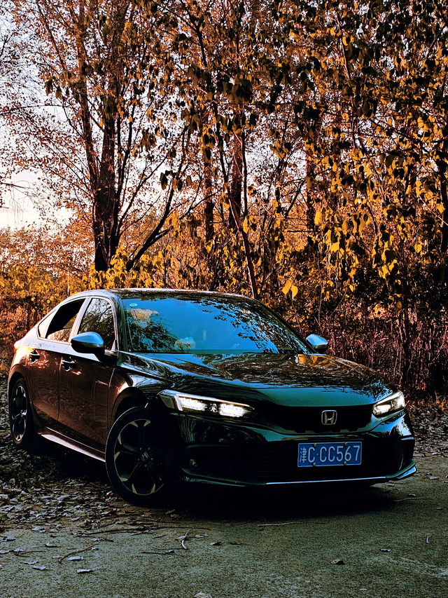 我的车是思域两厢极耀版
车身颜色为黑色当时只有两厢才有黑色
至于为什么选混动版没