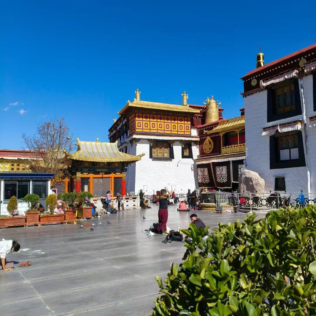 西藏拉萨旅游，大昭寺打卡攻略📝
