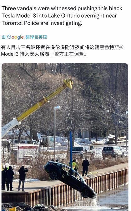 特朗普亲自下场抢救特斯拉：不买特斯拉，就是不爱美国！
最近两个月，特斯拉陷入了严