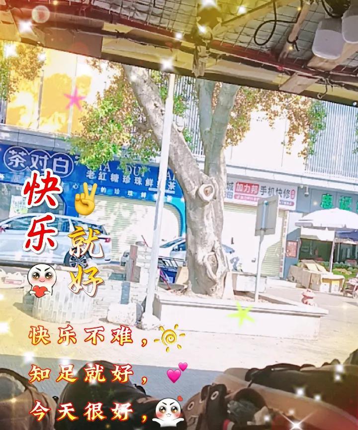 #秋日生活打卡季#不是每个人都能做生意，主要是每个人的想法不同的，有人喜欢做牛做