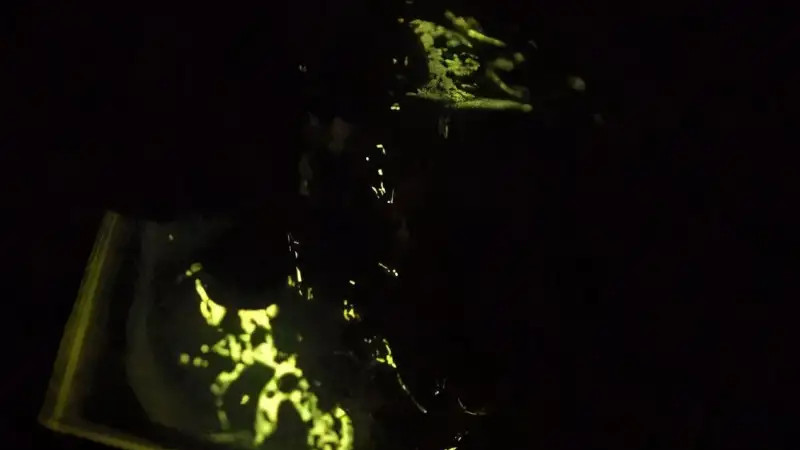 非晶材料也能发光？颠覆百年科学定论