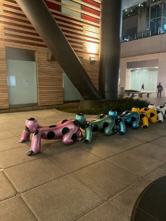 东京街头看见的 每次路过都很震惊 ​​​
