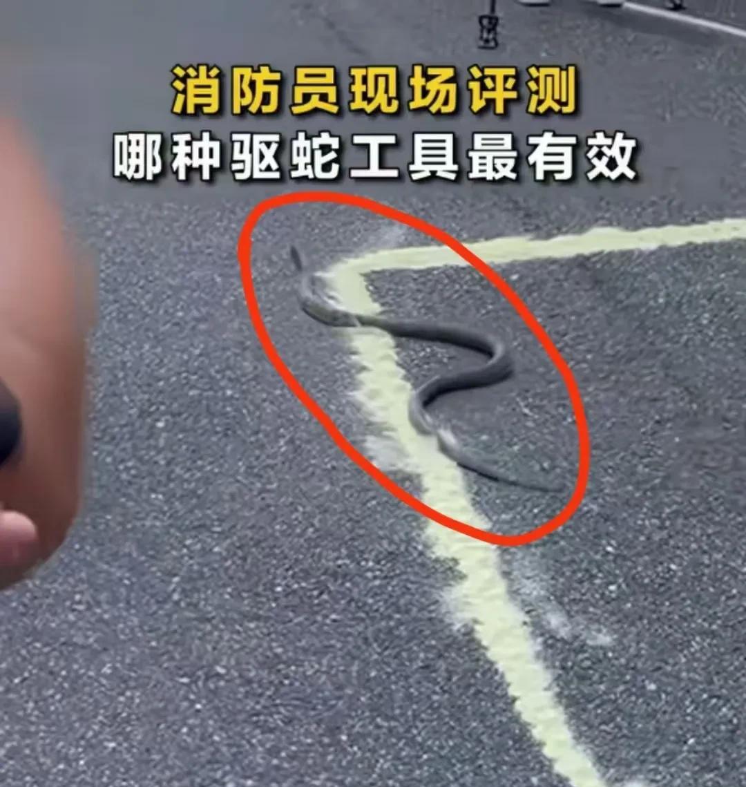 万万没想到！
消防员亲测，蛇的天敌不是驱虫粉，也不是大蒜和风油精，而是“麻溜的跑