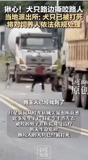 “揪心！”湖南一男子在路上被一只没拴绳的恶犬拖到车底下撕咬，好心老人发现后，壮着