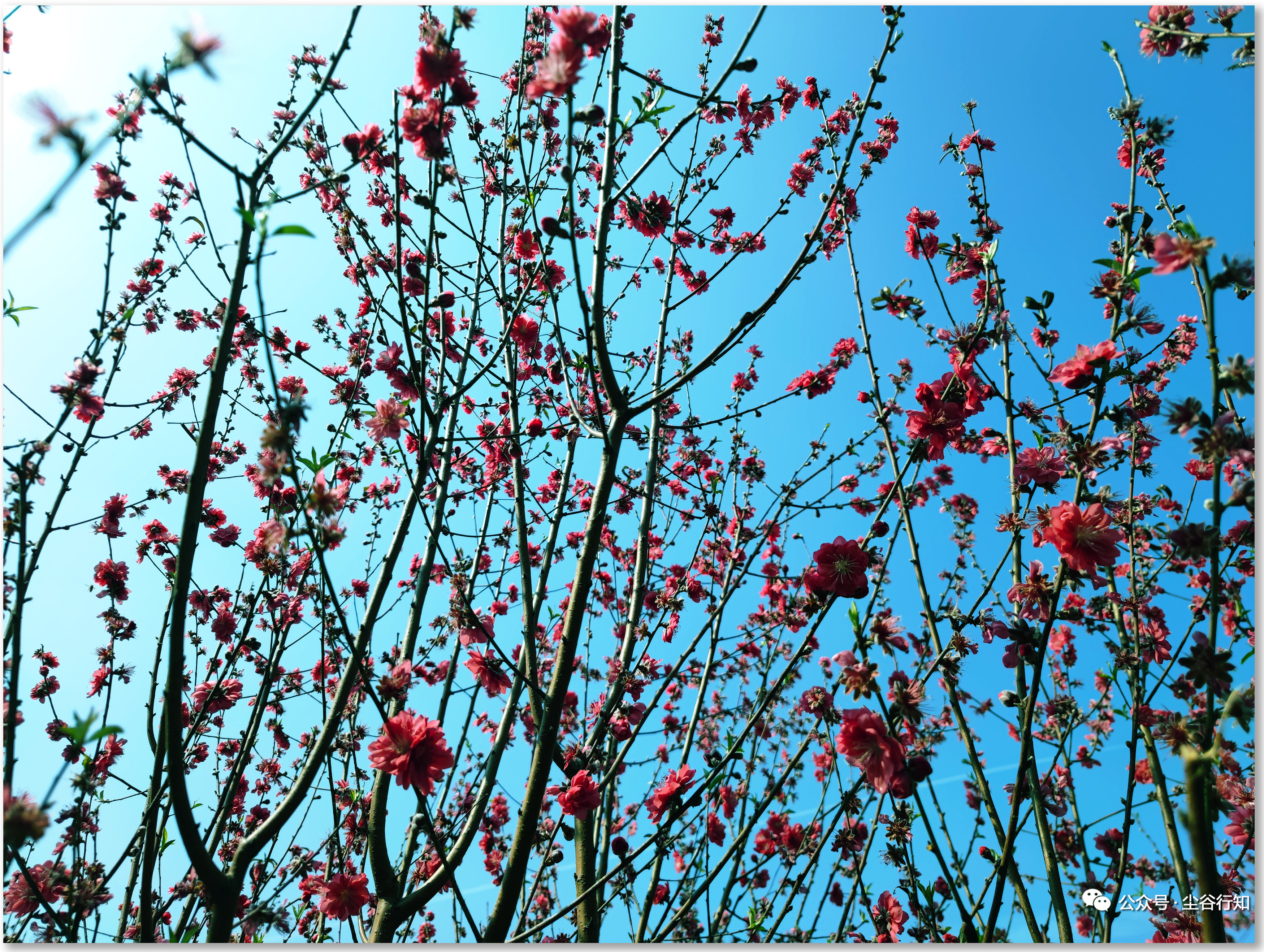 灵感，顾名思义，心灵感应到的天道反馈给你的信息。有人说，灵感稍纵即逝，其实不然，