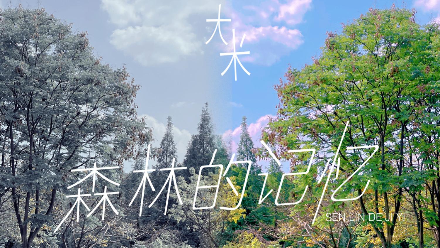 新歌上线｜大米《森林的记忆》