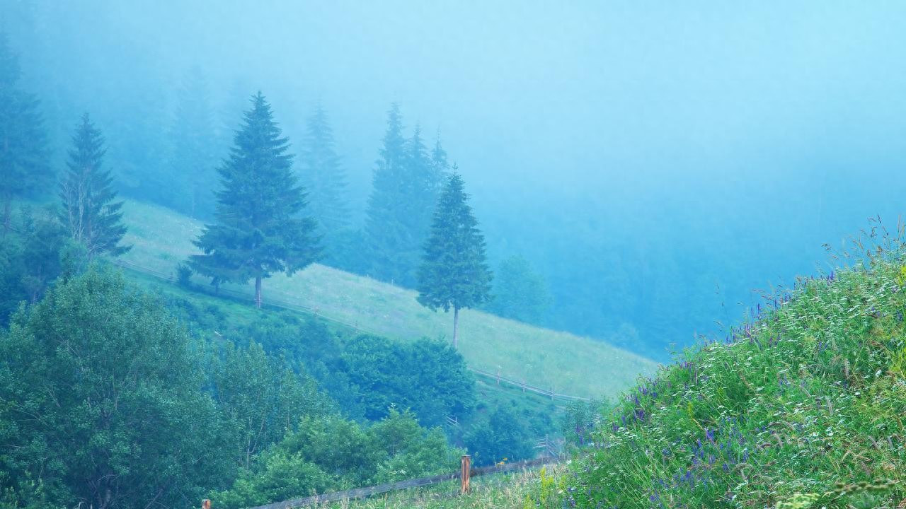 FSC认证凹凸压纹胶贴袋拉链袋贴骨袋电子产品高端饰品防碰撞保护