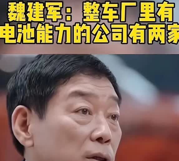 魏建军这波狠话直接给车圈扔了颗炸弹。嘴上说着