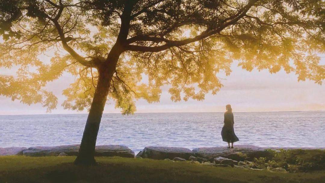 “误人子弟”的6种错误思维，大部分人都糊里糊涂