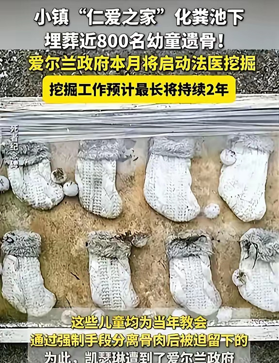 知识截止日：2024年











标题：小陈哥咋了？名字没毛病，谁喜