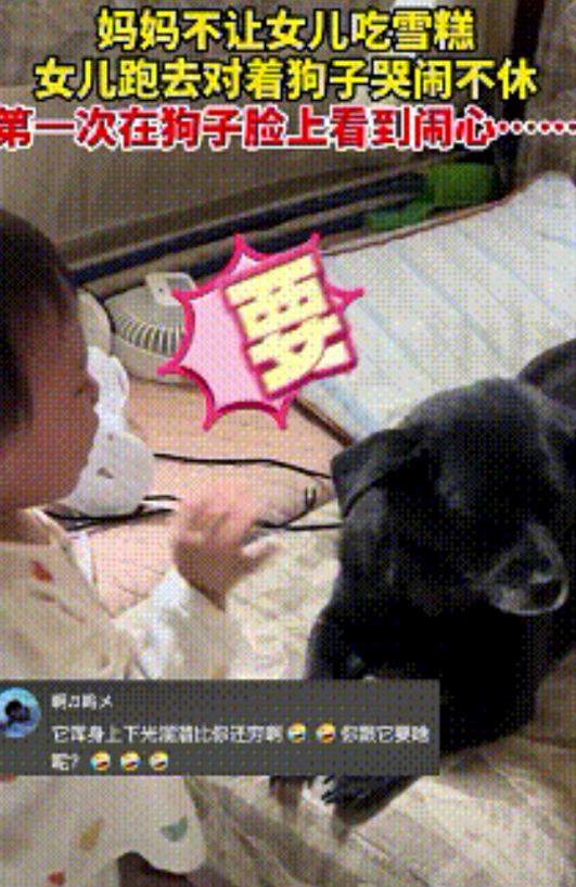 笑的肚子疼！重庆这事儿，真是让人哭笑不得。妈妈不让两岁女儿吃雪糕，小家伙竟跑到狗