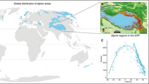 Plant Diversity｜综述: 基于基因组学研究高山植物如何在“极端环境”中适应与多样化？