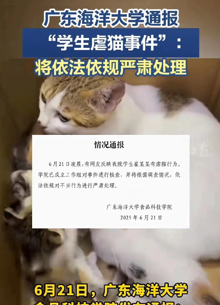 不知道大家刷到这个视频没有？
昨天凌晨有网友在广东海洋大学宿舍楼下拍到揪心一幕：