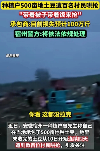 据消息称，宿州市埇桥区解集镇一块500亩土豆地收割，但是农户还没有收割完，就遭到
