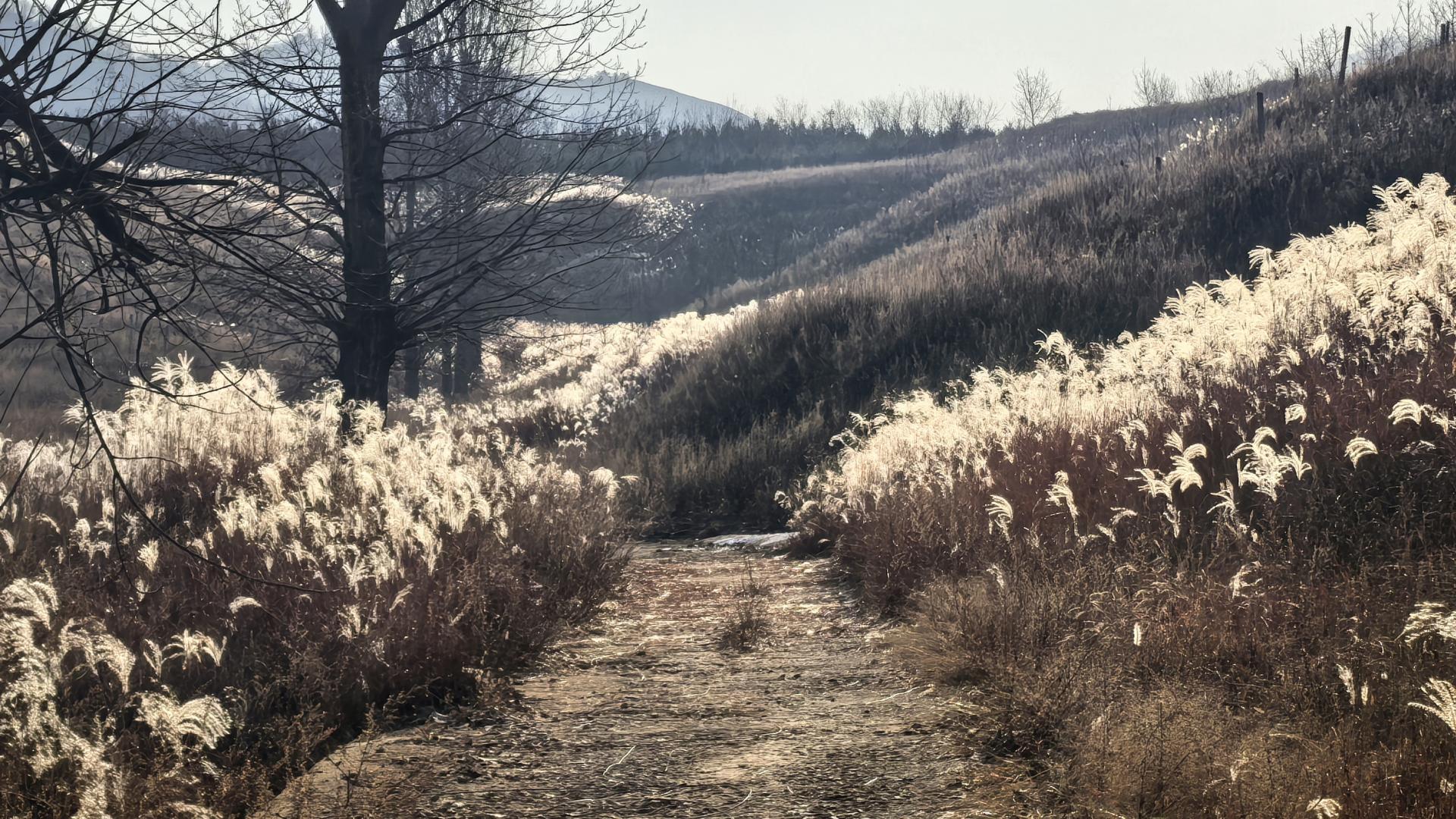 游览了这片芦花后，我又到蓝田这个没有拆掉的村子，见到这些老人