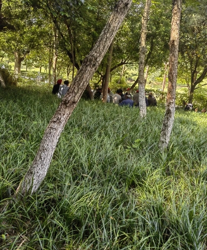 市民随意践踏公园里的草坪,不听劝还说环卫工人多管闲事。建议对市民不文明行为采取电