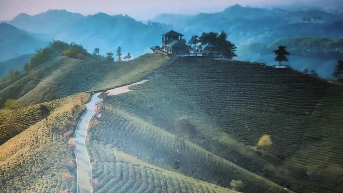 冬韵礼记：信阳山水行之茶山清思