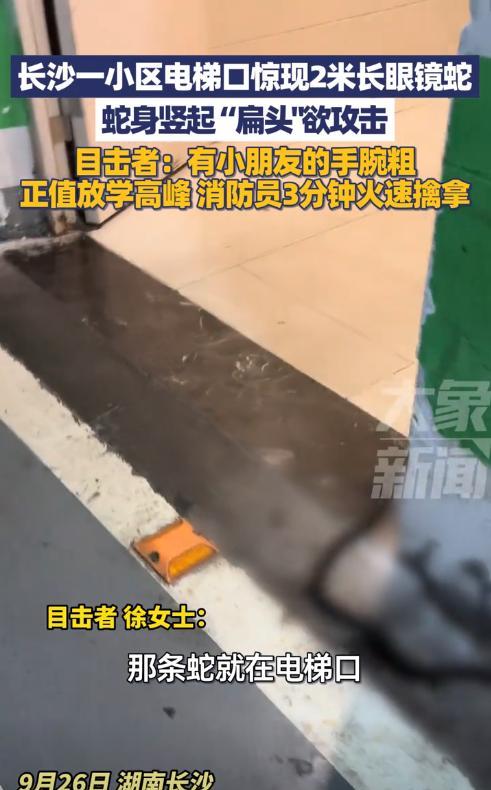 这是真吓人！9月26日，湖南长沙，一女子出电梯时，突然发现门口有条2米多长、小孩