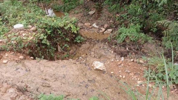 陕西山阳县村民实名举报多项违纪违法问题 呼吁彻查维护公平正义