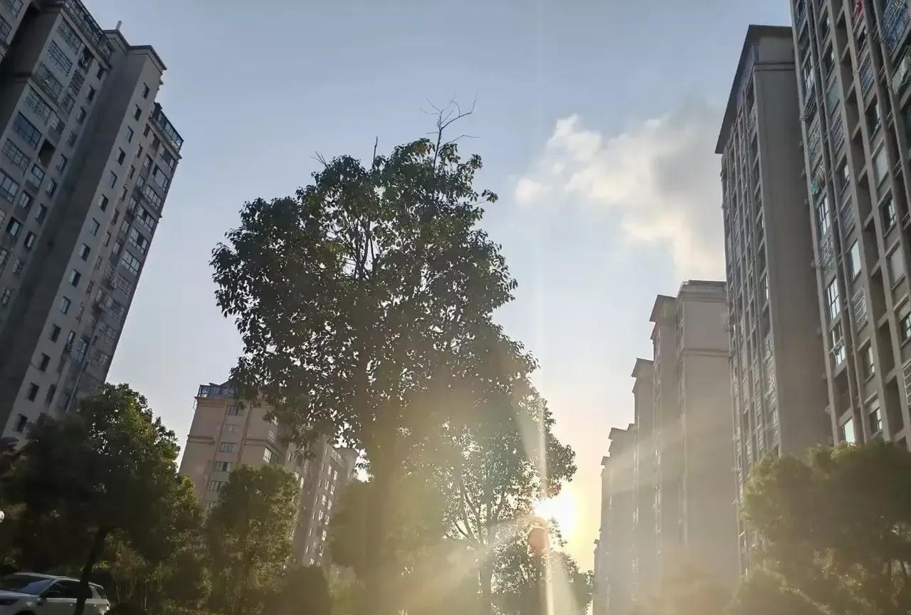炫富！
昨天晚上我从超市回来，顺路买几斤西红柿，走到一家药店门口突然觉得有点累了