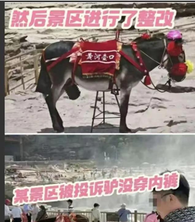 淫者见淫智者见智，劳力者见底层的艰辛。
某景区遭女游客投诉，说景区的毛驴不穿内裤