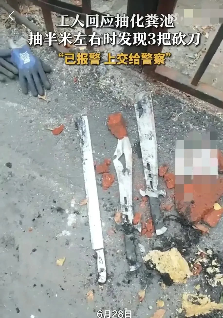 化粪池里捞出三把砍刀？这事儿太离谱了！

6月28日，黑龙江哈尔滨一小区在抽