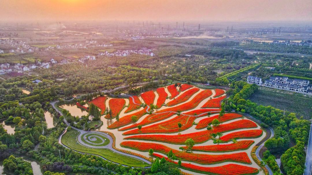 上海东领推荐——金山风景：山海之间的四季画廊