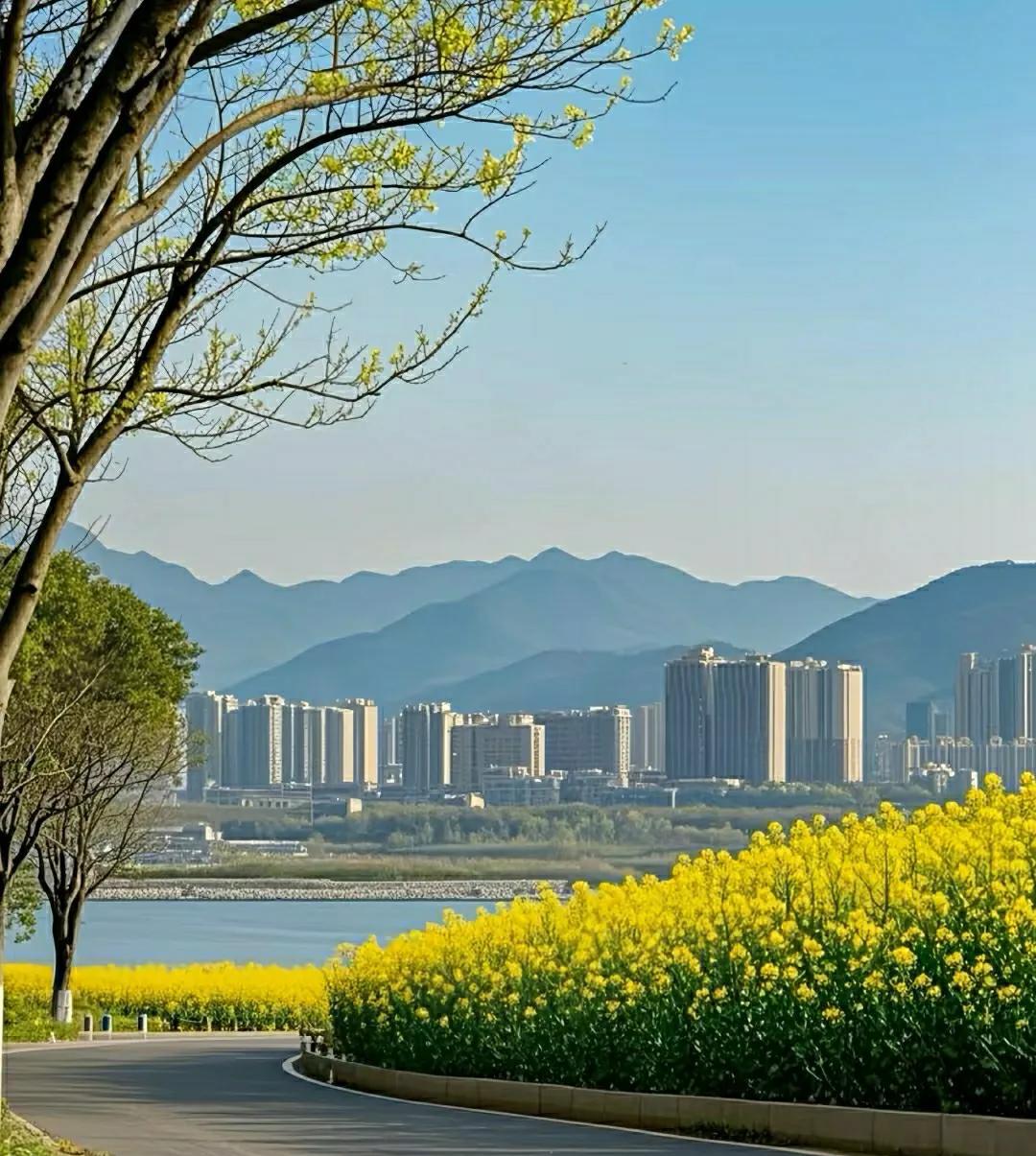 领导最不喜欢什么样的人
第一个:告状
我告诉你，领导最希望有人告状，但最不喜欢告