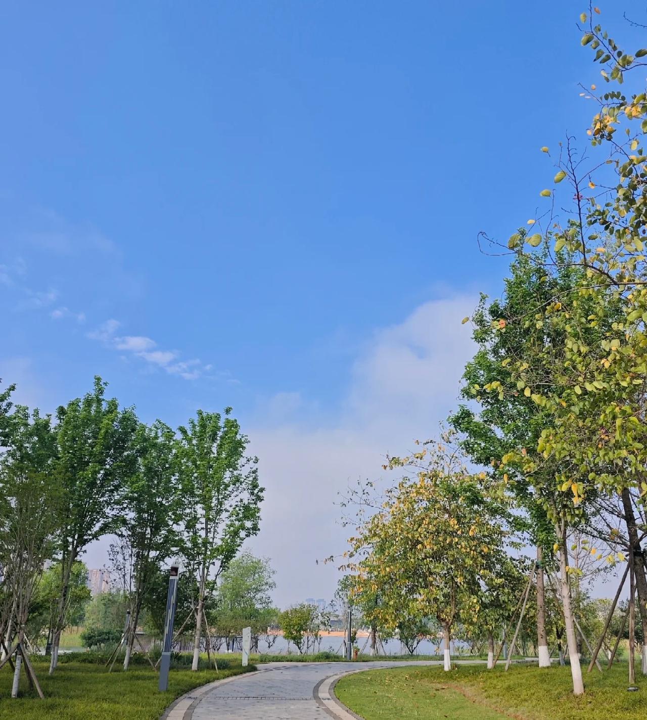 公司里那个想解决问题的人，已经离职了
现代职场正在经历一场微妙的变化：善于表演的