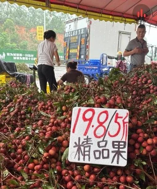 荔枝丰收了对于果农来说，也不是什么好事。
虽然我们在超市买荔枝的价格并不不低，但
