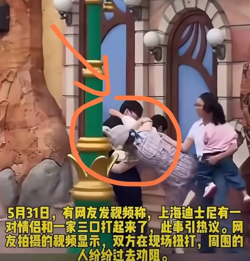上海迪士尼打人事件终于出通报了！
这件事的起因说起来特别匪夷所思。
上海警方通过