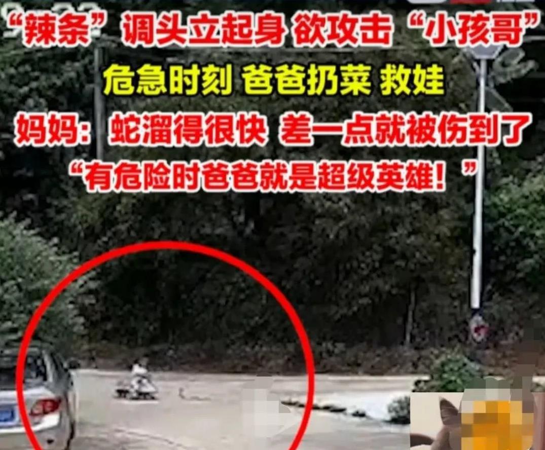 广东惠州，小孩骑着溜溜车，正在玩耍，迎面在马路中央遇到了一条蛇。
小孩因为没见过