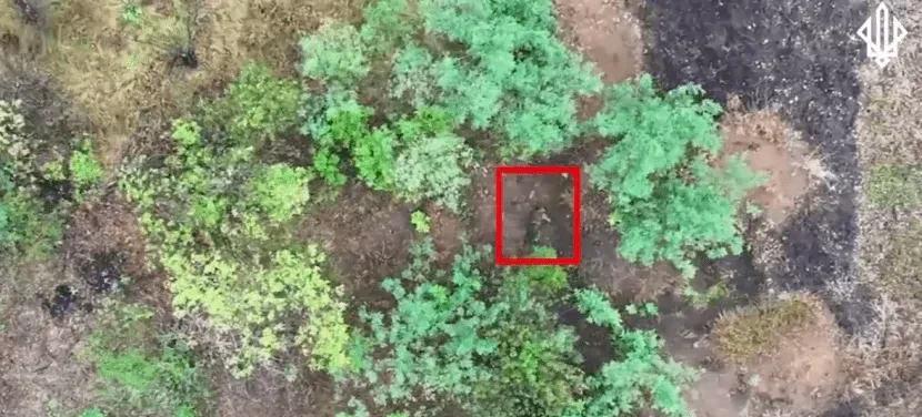 我们第一次看到：俄罗斯人开始将妇女投入战斗
摘要：在波克罗夫斯基方向，乌克兰武装