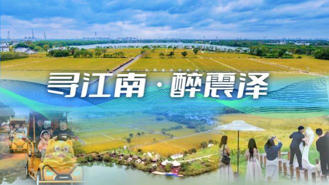 寻江南·醉震泽⑤｜于园中景，见日常诗