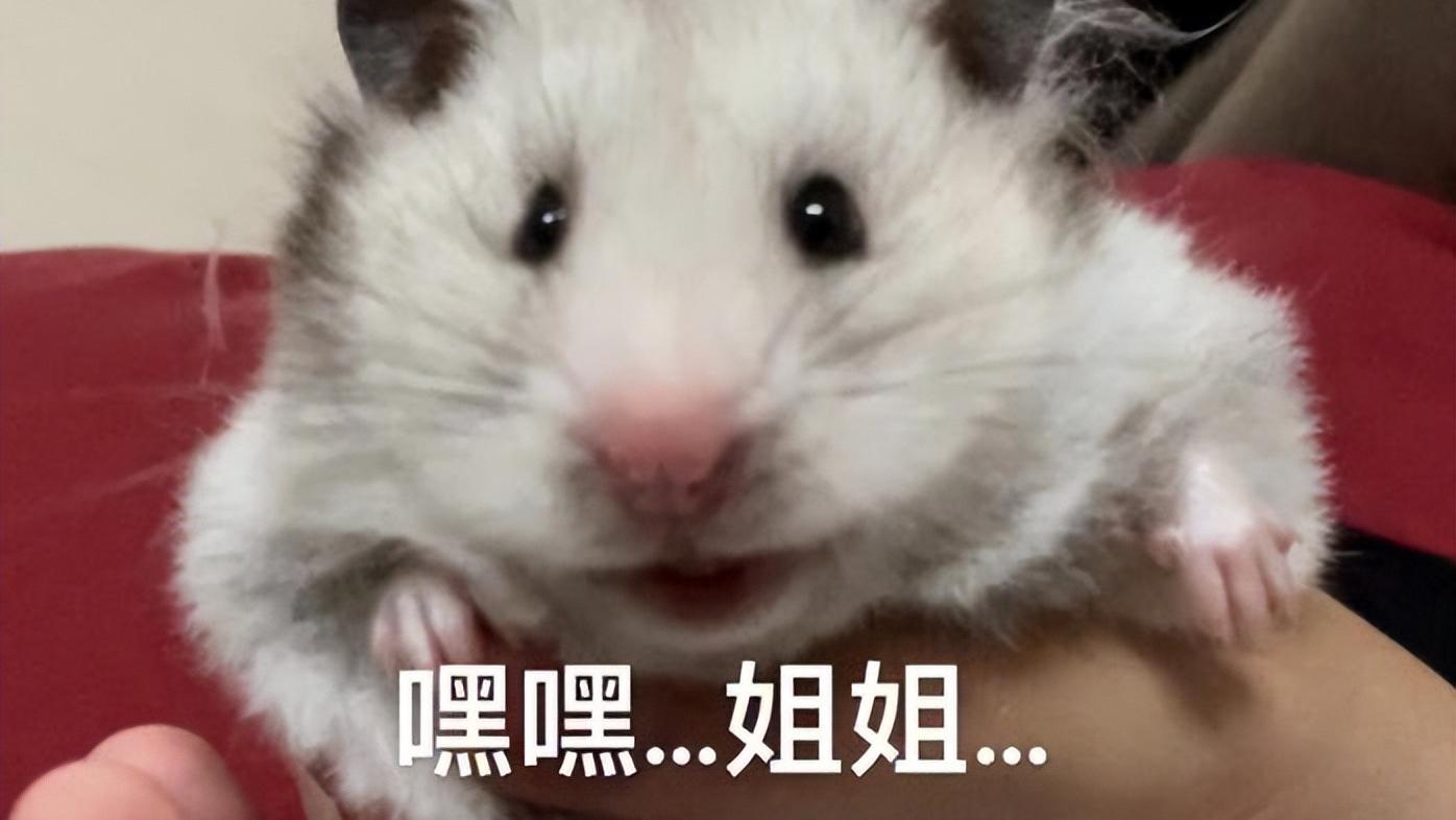 戏少人气却不输女主！《捕风追影》的女王，不卖肉不开挂一样圈粉