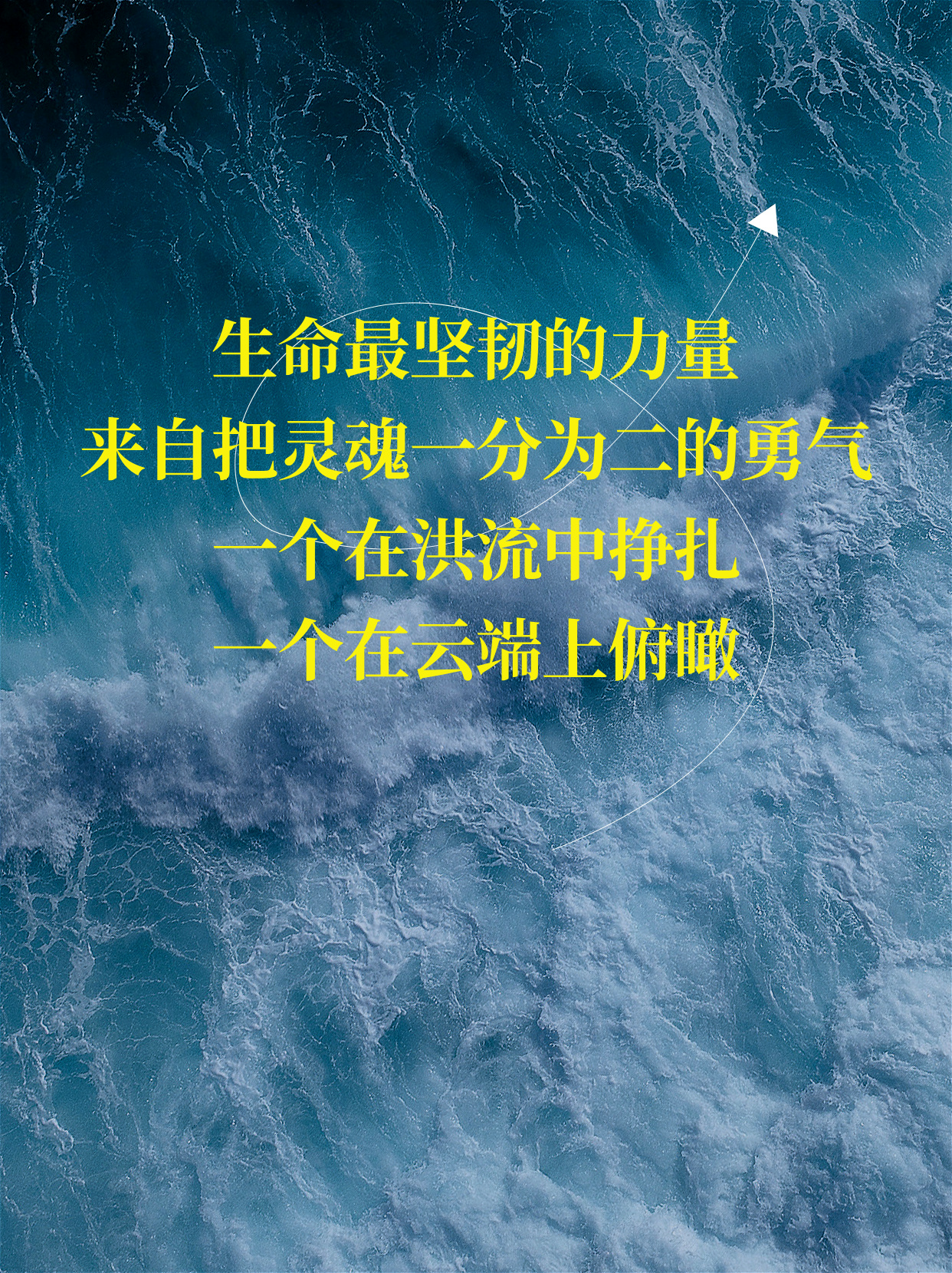 生命最坚韧的力量，来自把灵魂一分为二的勇气，一个在洪流中挣扎，一个在云端上俯瞰